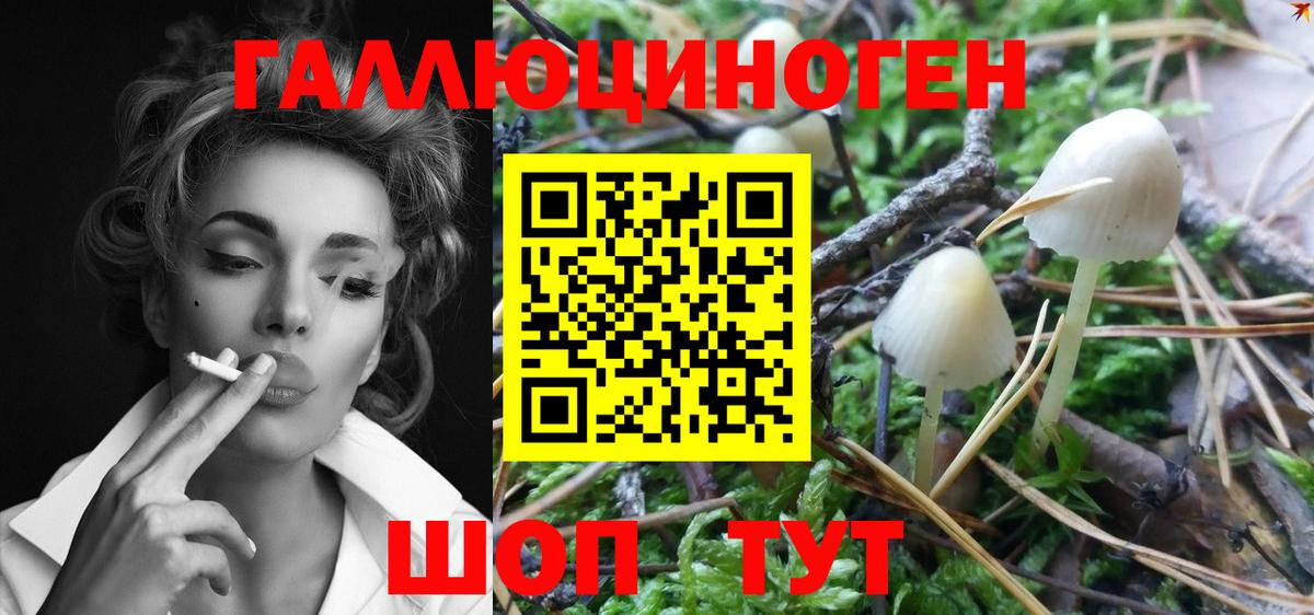 Псилоцибиновые грибы GOLDEN TEACHER Кумертау