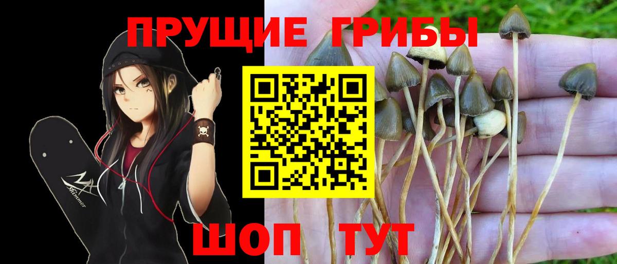 Кумертау  Галлюциногенные грибы мицелий  где купить наркоту  Вход с VPN  Галлюциногенные грибы Magic Shrooms 